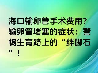 ?？谳斅压苁中g費用？輸卵管堵塞的癥狀：警惕生育路上的“絆腳石”！